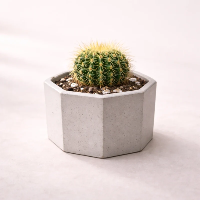 Maceta octogonal grande con soporte (molde de silicona)