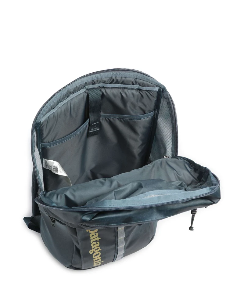 Patagonia Black Hole 25 Mochila sastrugi/summit blue