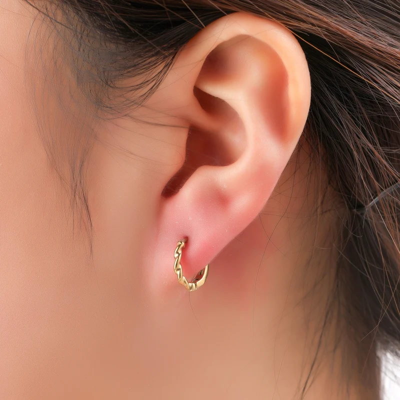 Day & Eve Twist Hoop