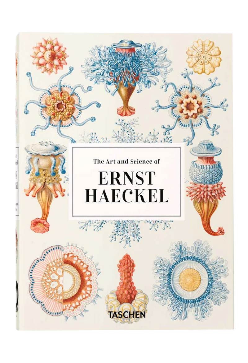 The Art And Science Of Ernst Haeckel. 40