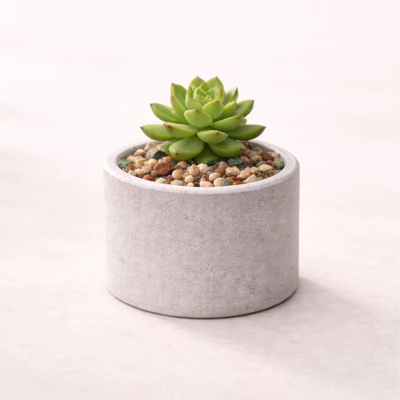 Maceta circular x3 (molde de silicona)