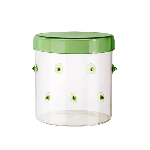 Container Agave Small