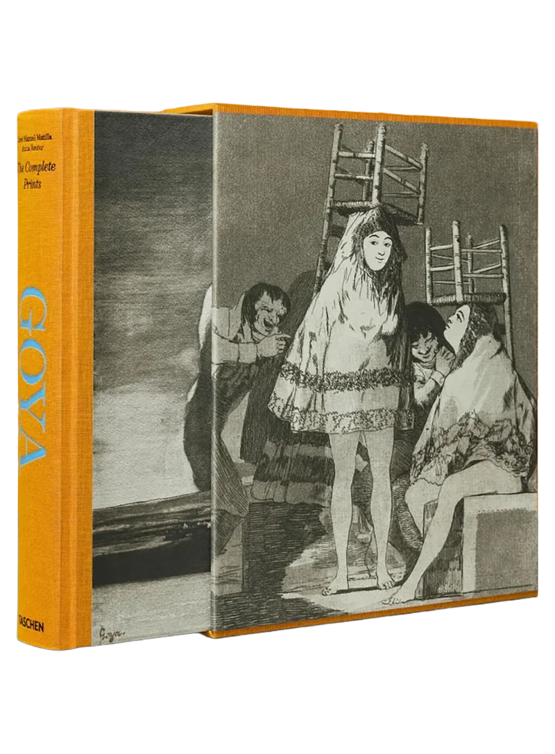 Libro Goya (english)