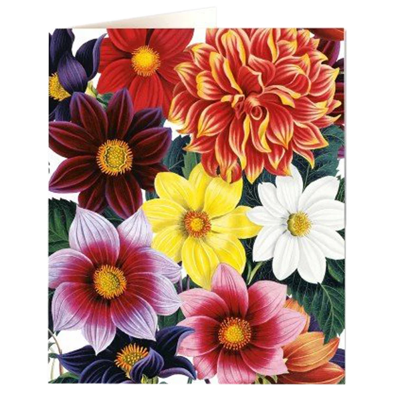 Dahlias