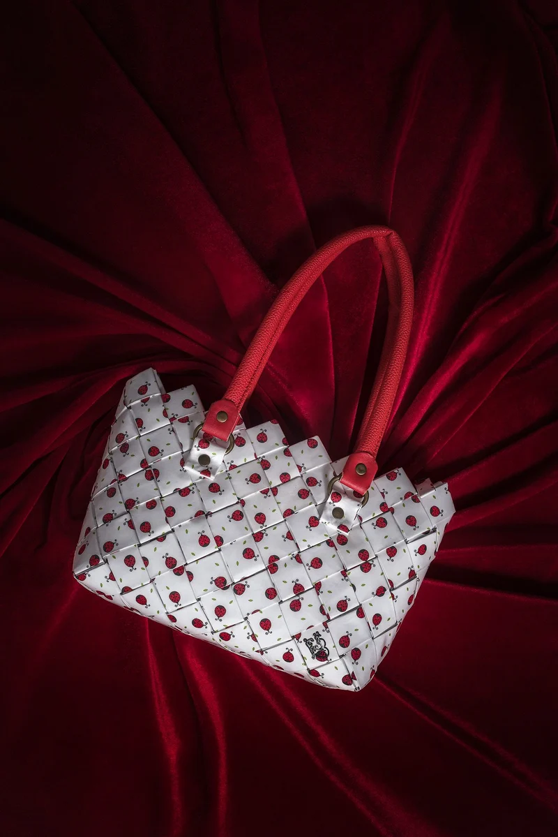 Shopper Ladybugs